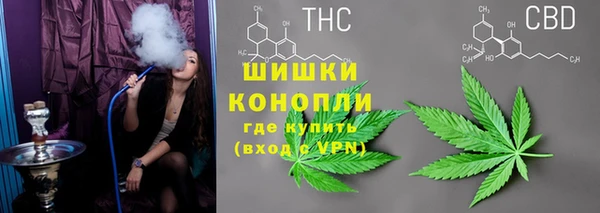 спиды Аркадак