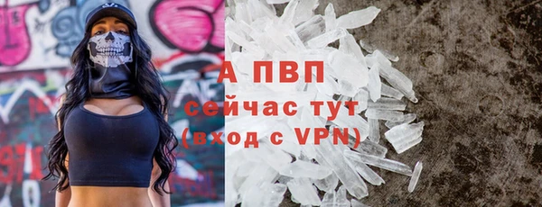 спиды Аркадак