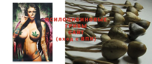 MESCALINE Арсеньев