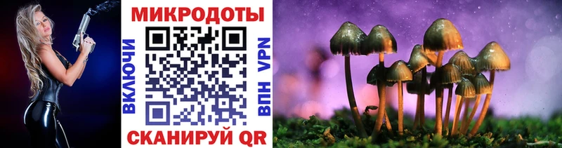 Псилоцибиновые грибы Cubensis  закладка  Тобольск 
